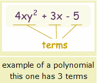 polinom1