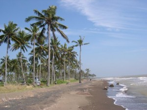 pantai depok