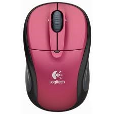 manual mouse