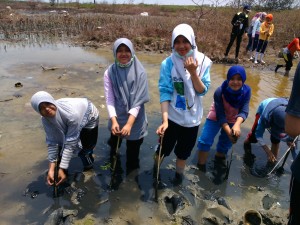 IMG20151031105954