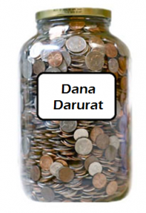 dana-darurat